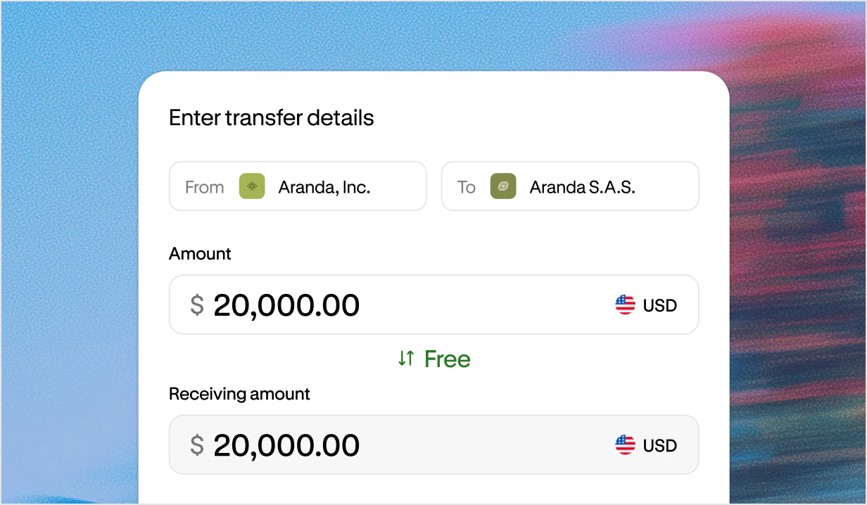 Intercompany transfer in Altitude of 20,000 USD from a holding company to a subsidiary